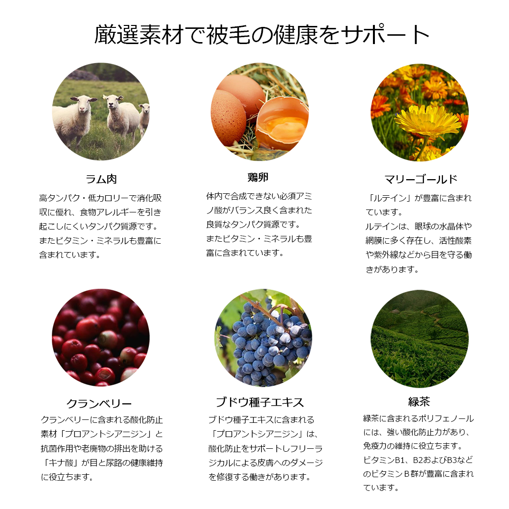 NATURE'S PROTECTION】ホワイトドッグ グレインフリー ホワイト