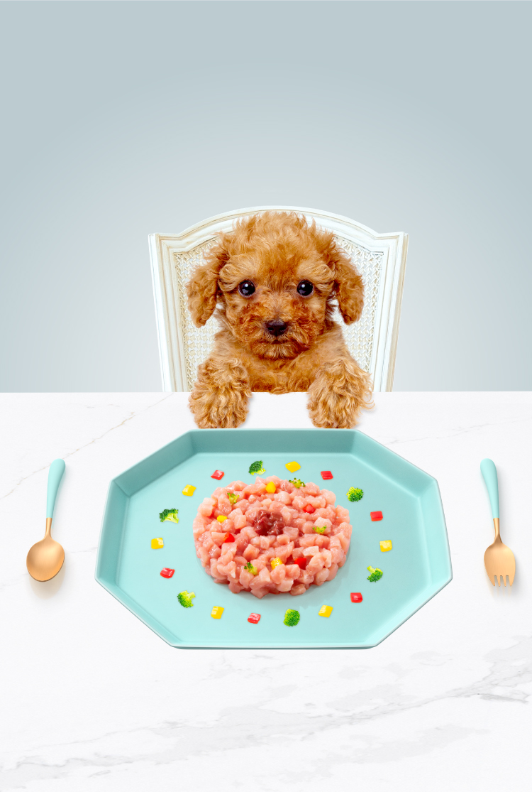 P's DELI オリジナルウェットフード ジューシーチキン味 【常温でお