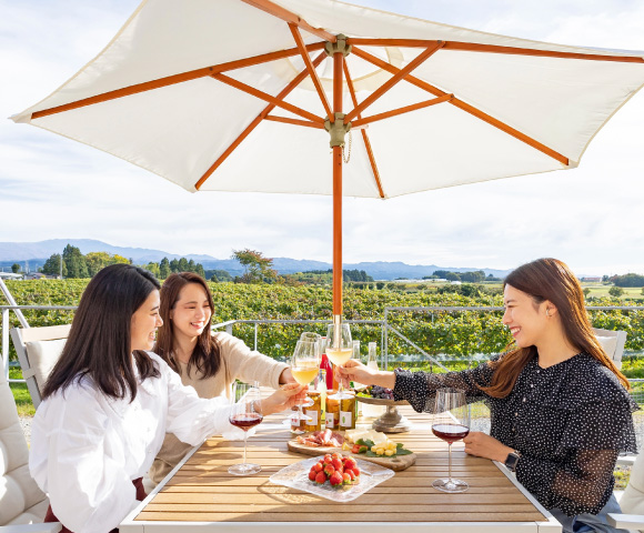 公式】山形県鶴岡市ワイナリー ピノ・コッリーナ松ケ岡