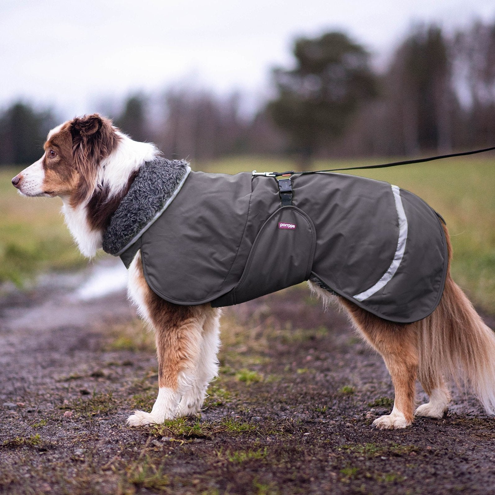 PerusPomppa Graphite - Winter coat for dogs