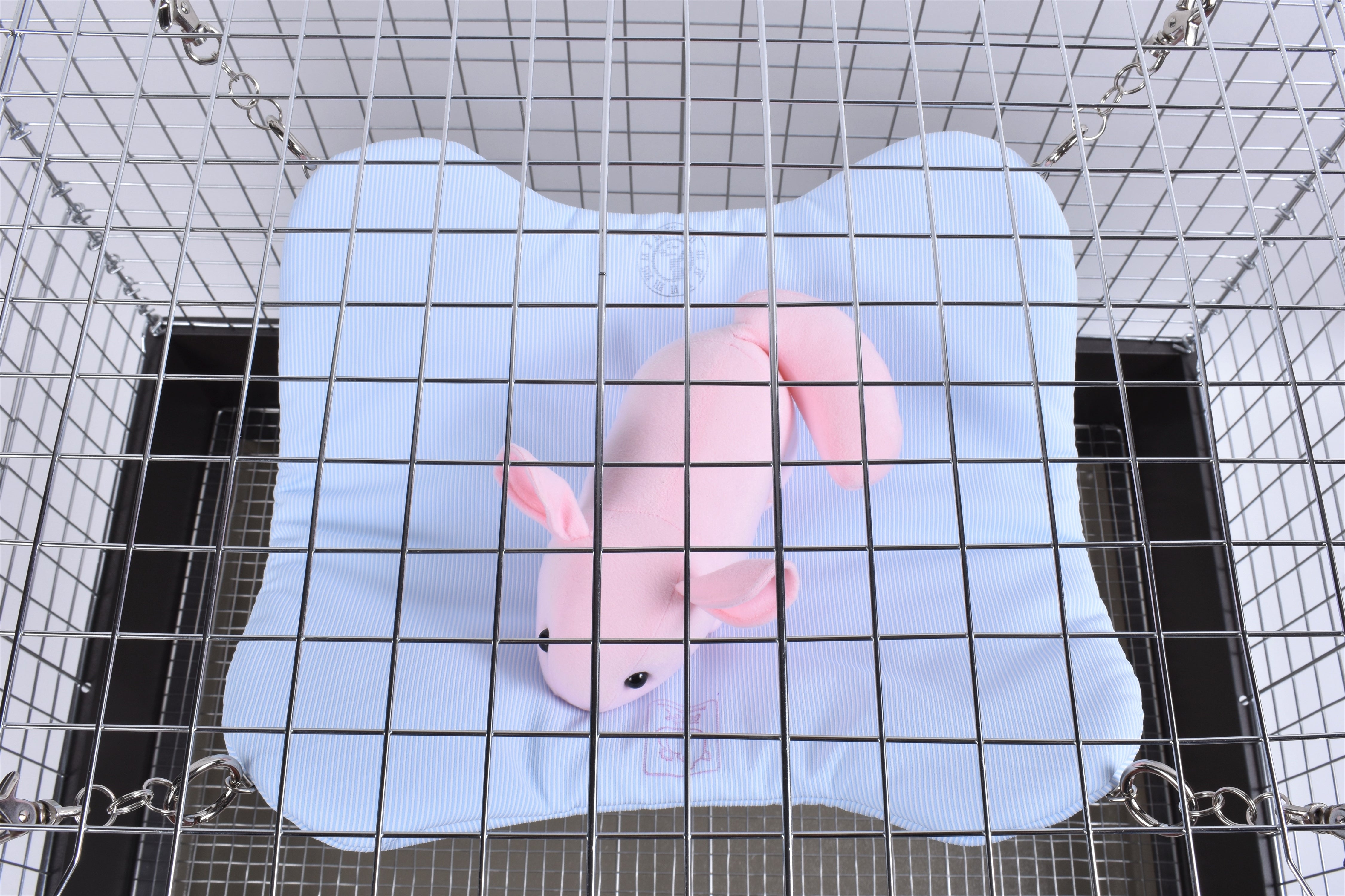 チンチラのハンモック – プラス工房