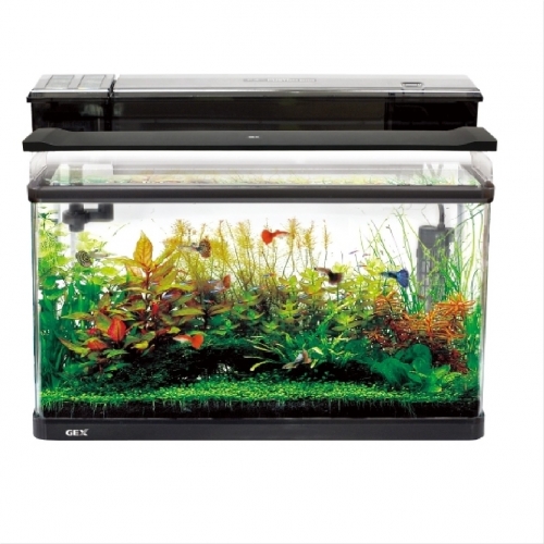 あーるさん ガラス水槽 水槽台セット 水槽/水槽セット/水槽台