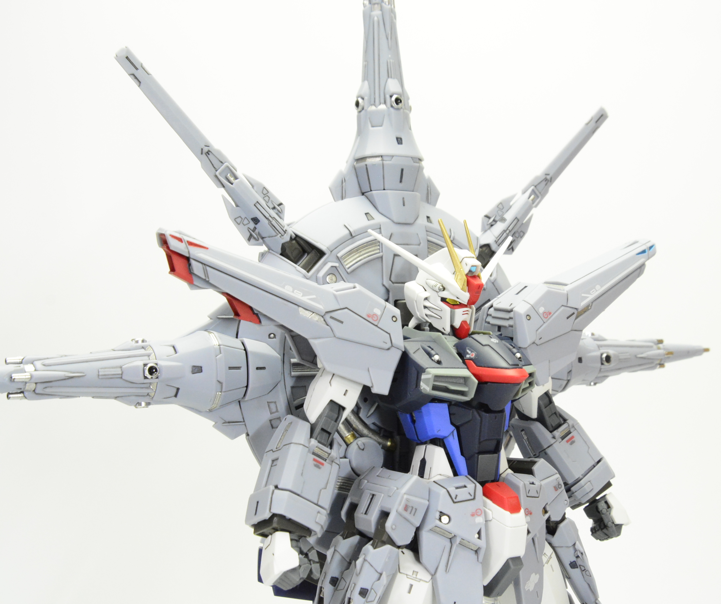 MG フリーダムガンダムver2.0 MG プロヴィデンスガンダム フレームが