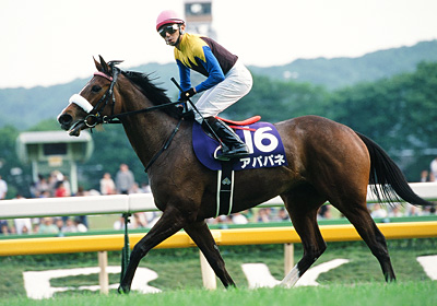 アパパネ】全G1的中馬券セット(牝馬三冠馬券含む／全現地馬券