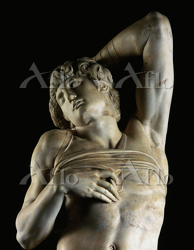ミケランジェロ「瀕死の奴隷」 [127874730]のアート作品 - アフロ