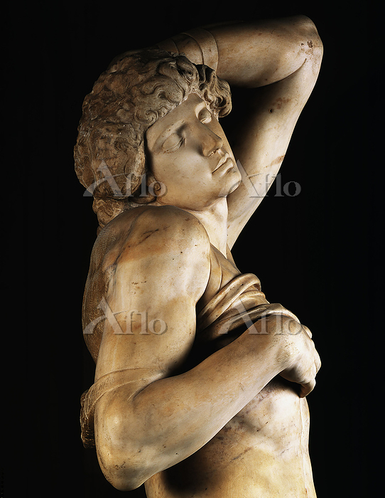 ミケランジェロ「瀕死の奴隷」 [127874731]のアート作品 - アフロ