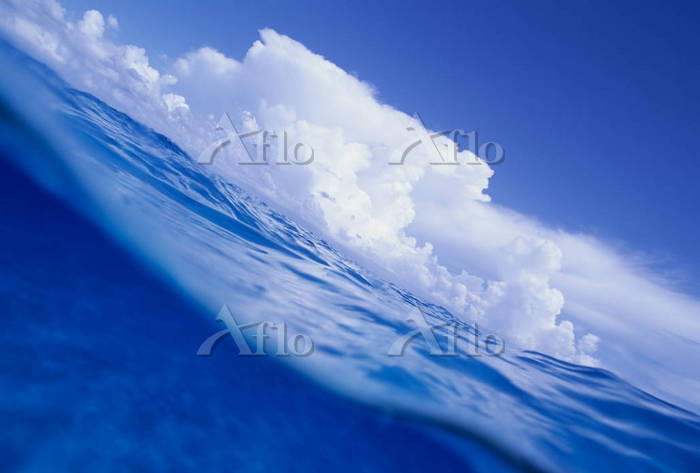 水中から見た空と雲 [3444793]の写真素材 - アフロ