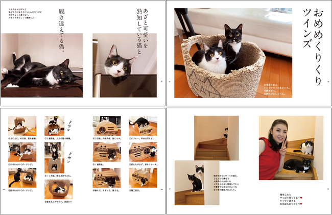 重版決定‼＞「えっ？マルオレのママって藤あや子さんなの？」『マルと