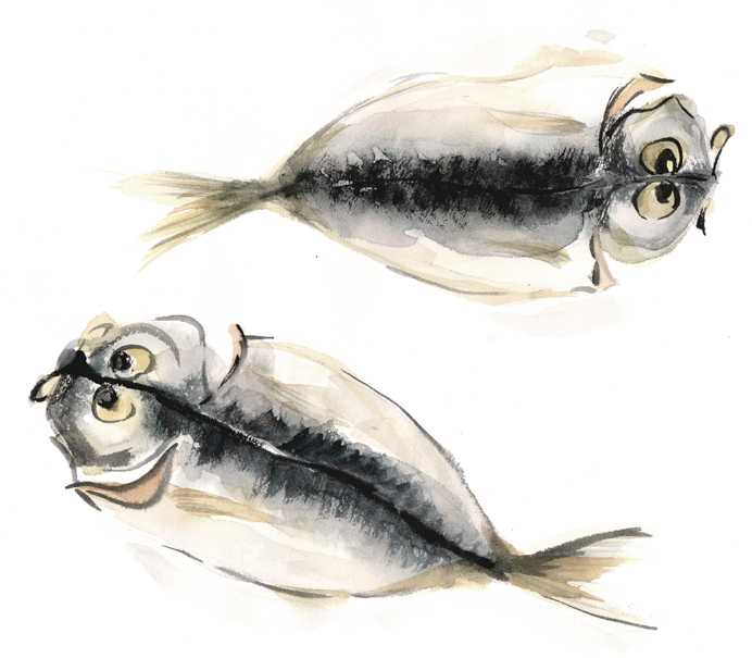 開いてもやっぱり鯵の顔してる＊ - 高塚由子 の 水彩画 魔法の筆