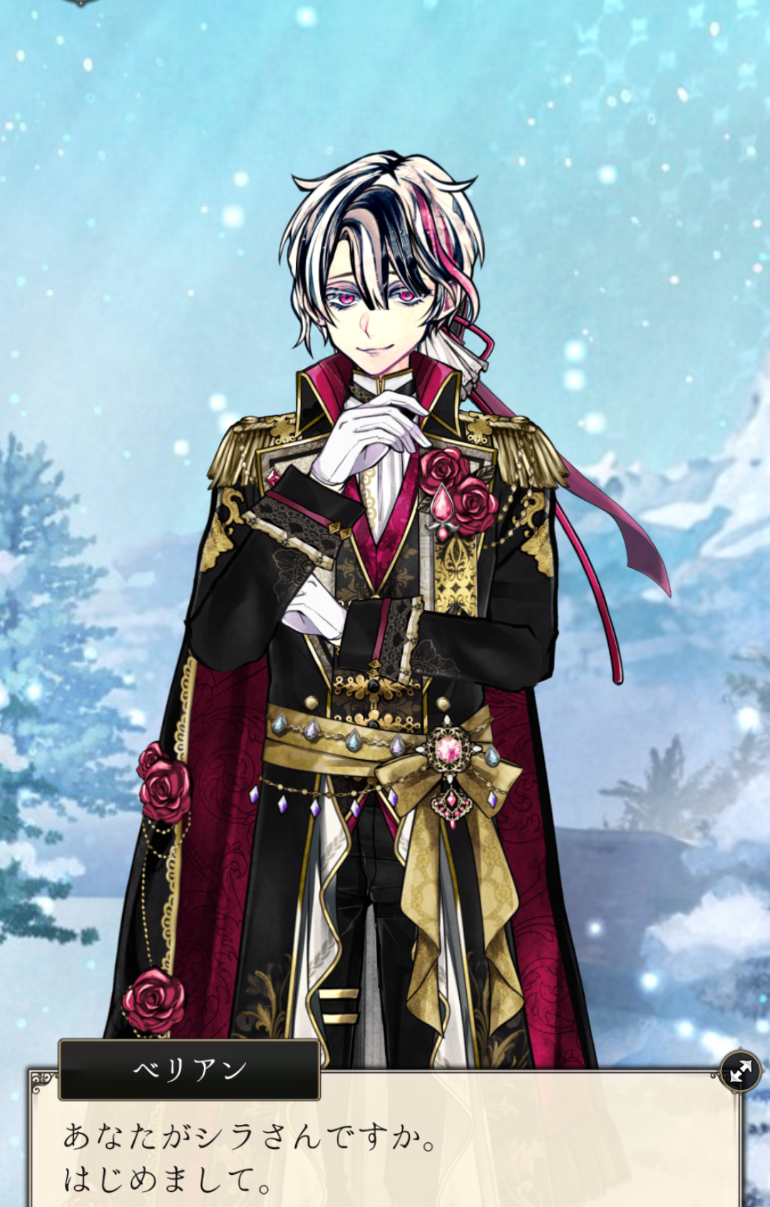 あくねこ ベリアン・クライアン まとめ売り 悪魔執事と黒い猫 あくねこ