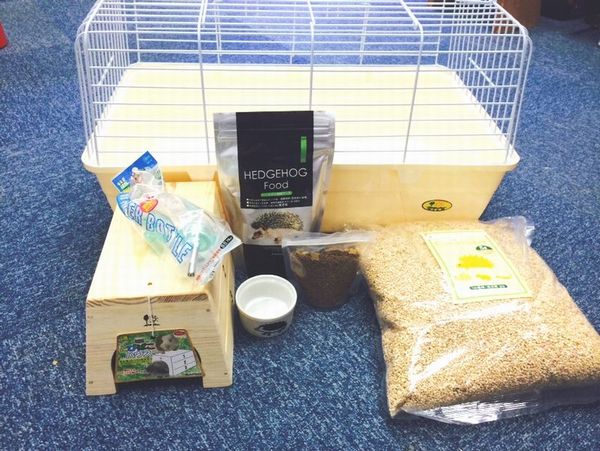 ハリネズミ ケージ セット」の人気商品一覧 | 安い商品を通販サイト