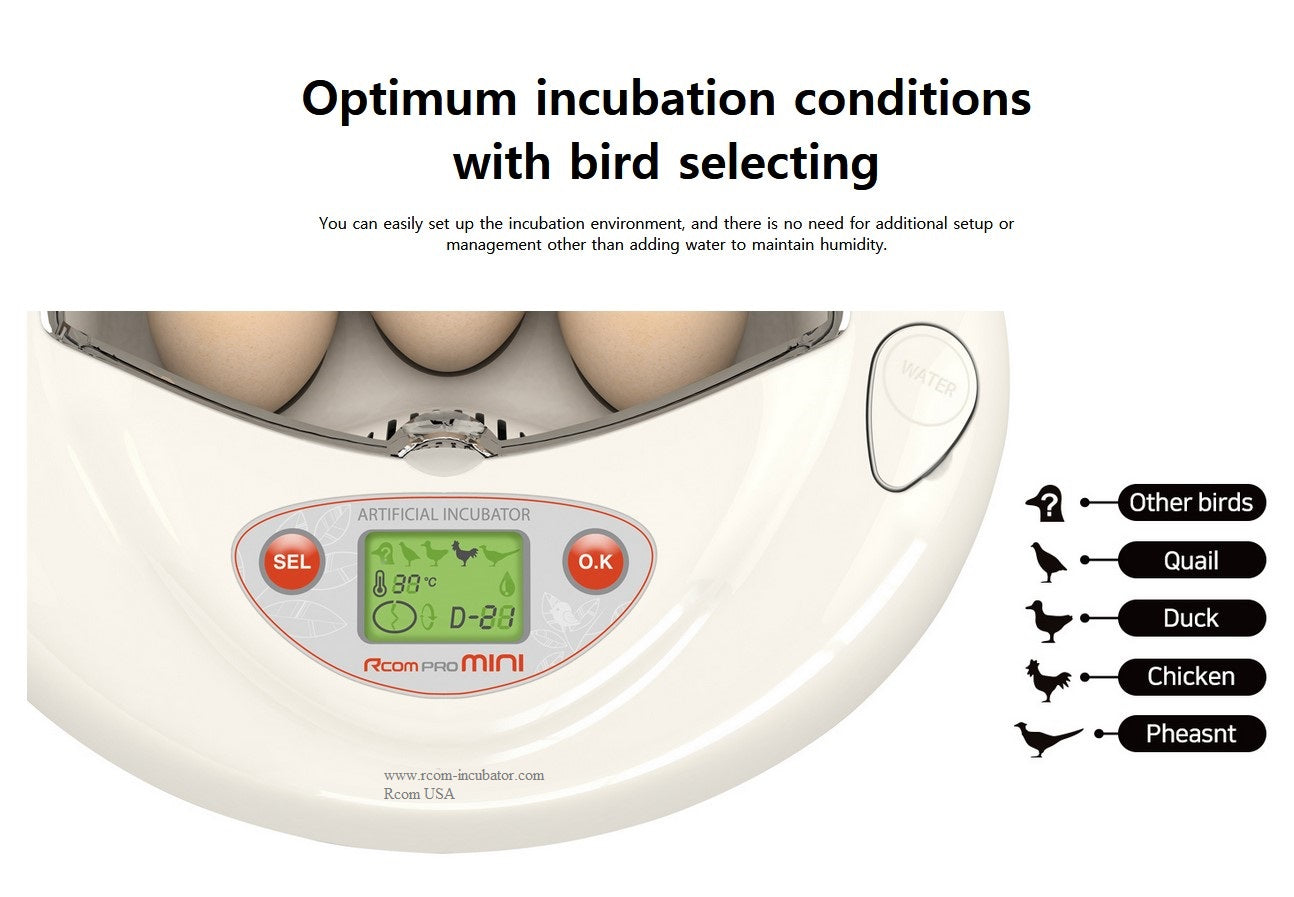 Pro Mini 3 Incubator – Rcom Incubators USA