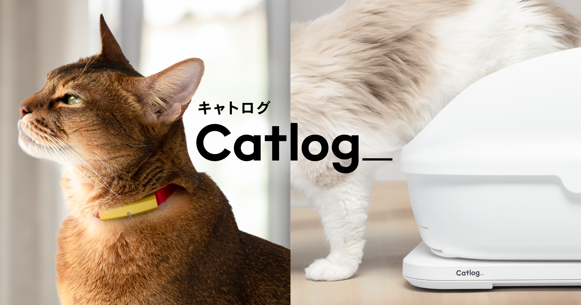 Catlogシリーズ | Catlog