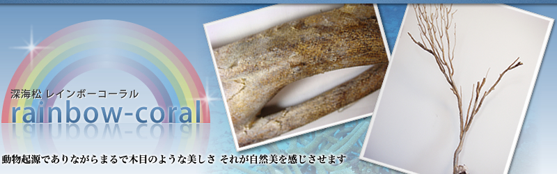 Rainbow-coral（レインボーコーラル）-商品紹介