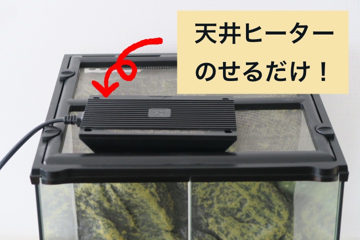 GEXエキゾテラ グラステラリウム3030レビュー | レオパのはじめかた