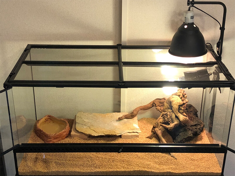 GEX製グラステラリウムの特徴を解説｜機能や使い勝手を徹底レビュー