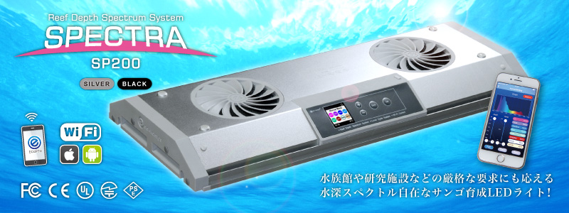 SPECTRA SP200(スペクトラ) シルバー | チャーム eco-lamps スペクトラ