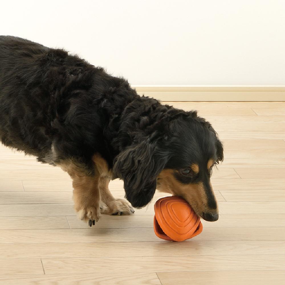 ペットニア ニュートリ ミニ フィーダー | リッチェル公式ウェブショップ