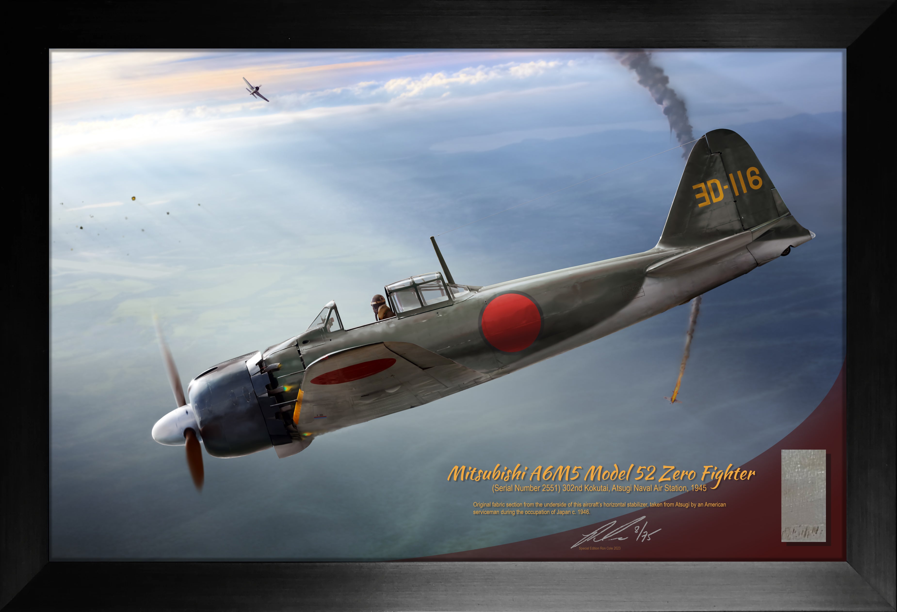 Japanese A6M5 Mod. 52 Zero s/n 2551 302nd Kokutai Relic Display by Ron