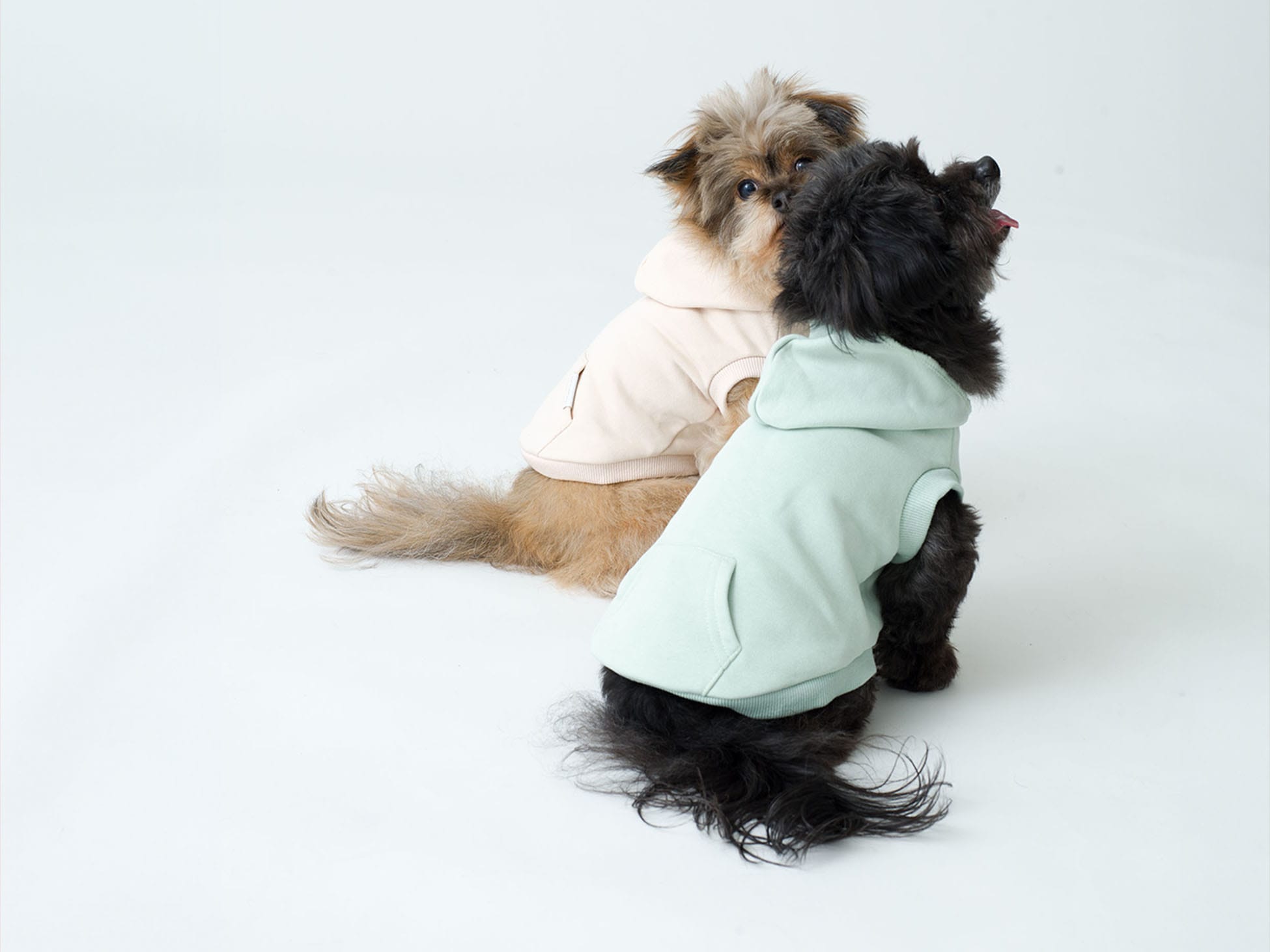 RH California Dog Hoodie New Release News｜Ron Herman