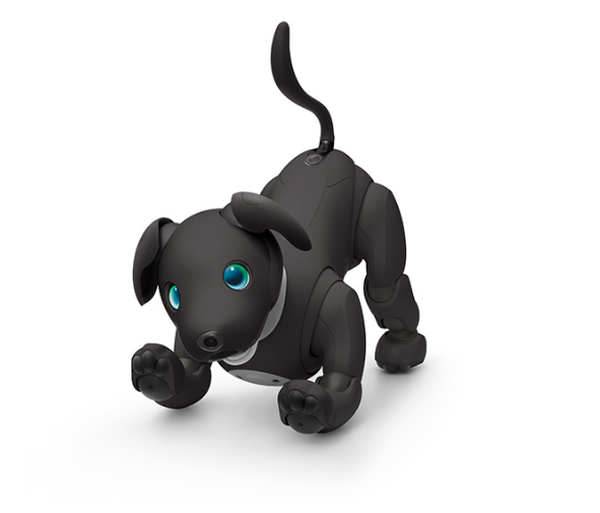 Sony aibo ERS-1000 限定カラーモデル「黒ゴマエディション」 aibo 黒