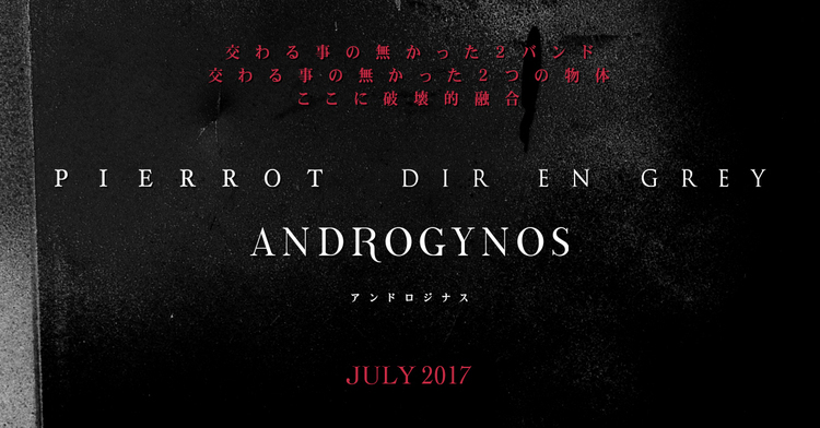 ANDROGYNOS DIR EN GREY PIERROT パンフレット ANDROGYNOS