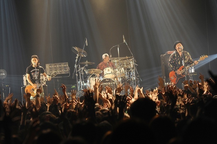 ミュージシャン WANIMA LIVE SET KENTA（Vo, B / WANIMA）（Photo by