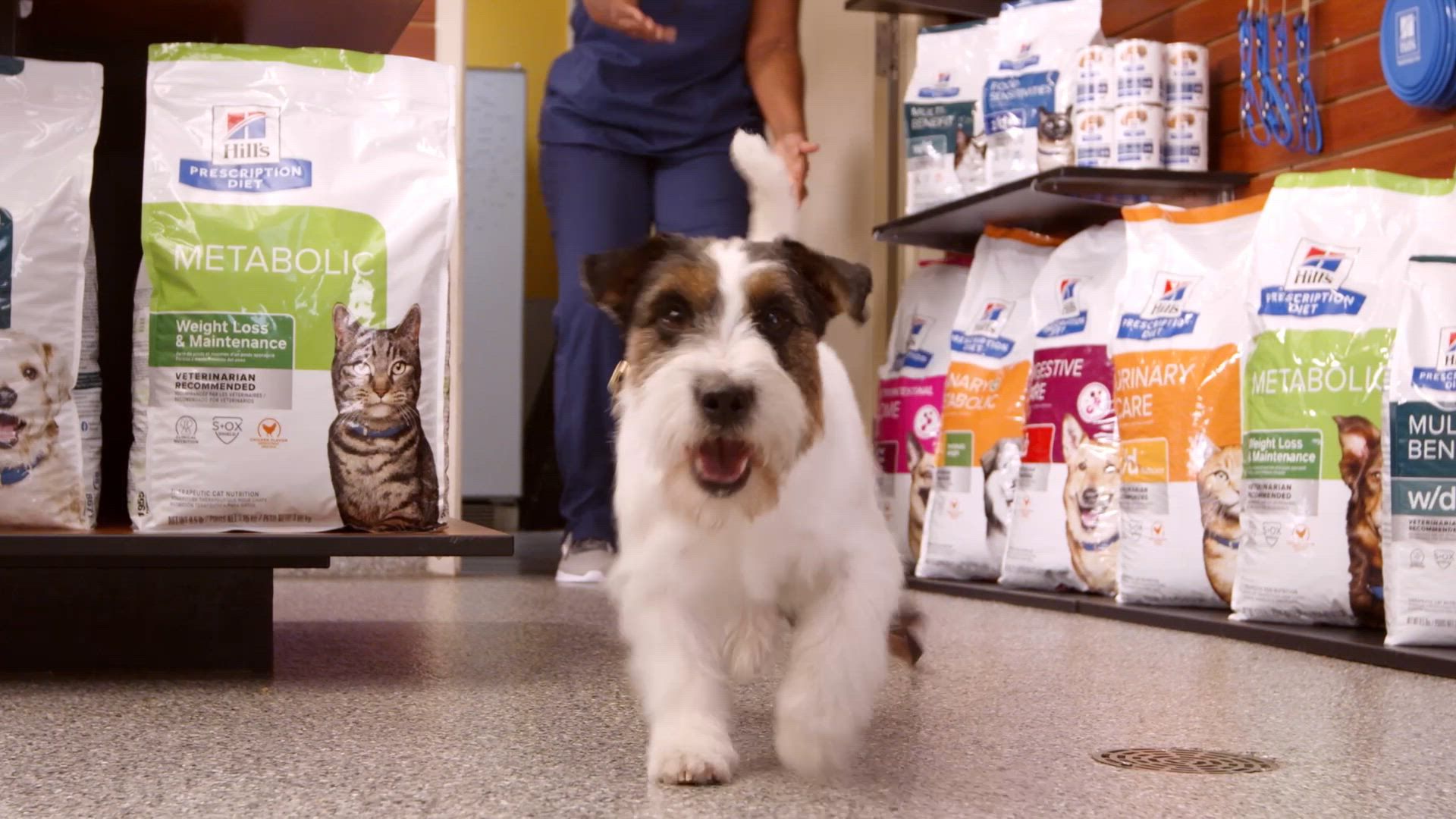 Hill's® Prescription Diet® k/d Kidney Care Adult Dog Food - Chicken