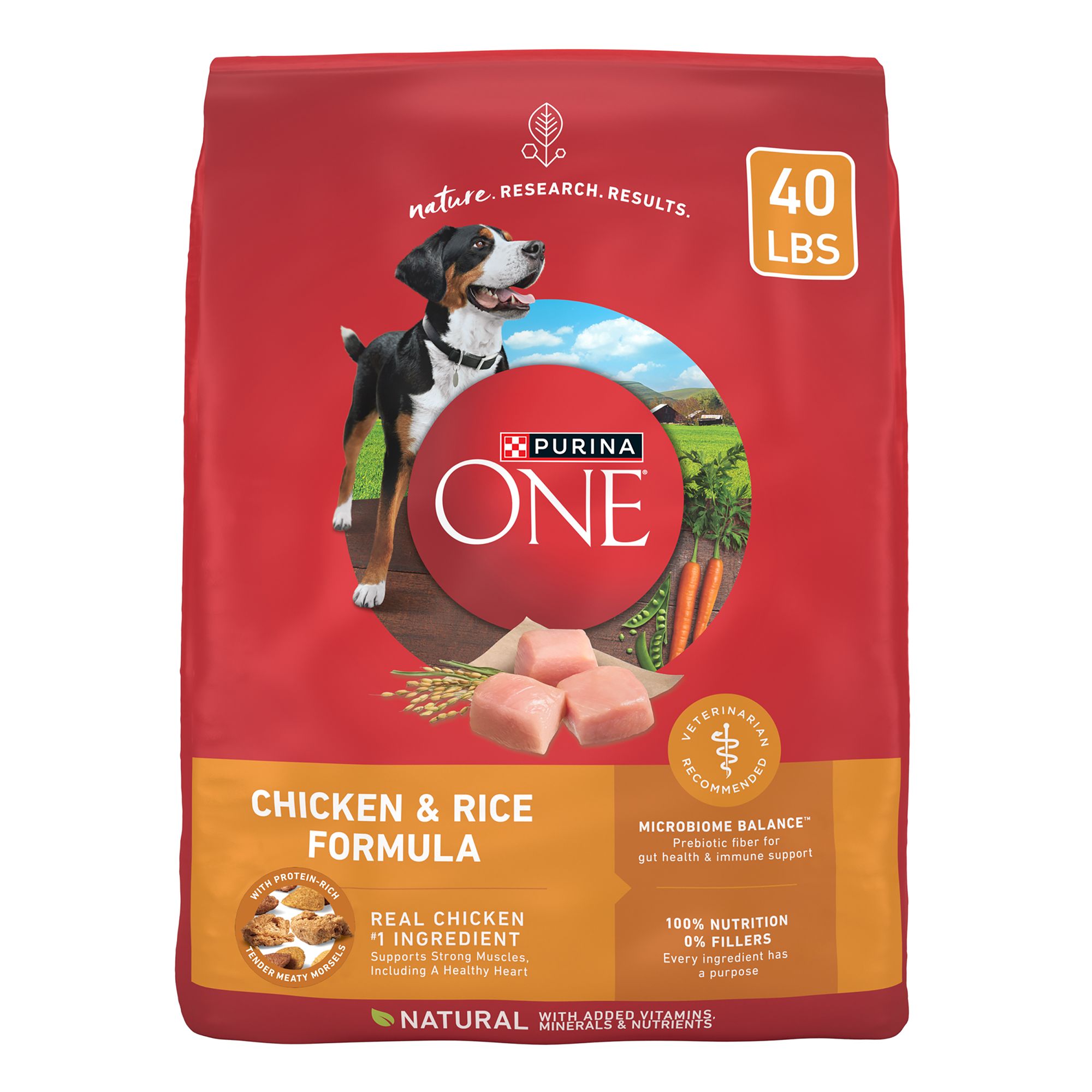 Purina ONE® SmartBlend Everyday Nutrition Adult Dog Dry Food