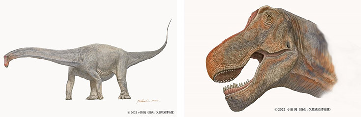 竜脚類は植物食」歯化石の傷を立体分析、恐竜で初解明 早稲田大など
