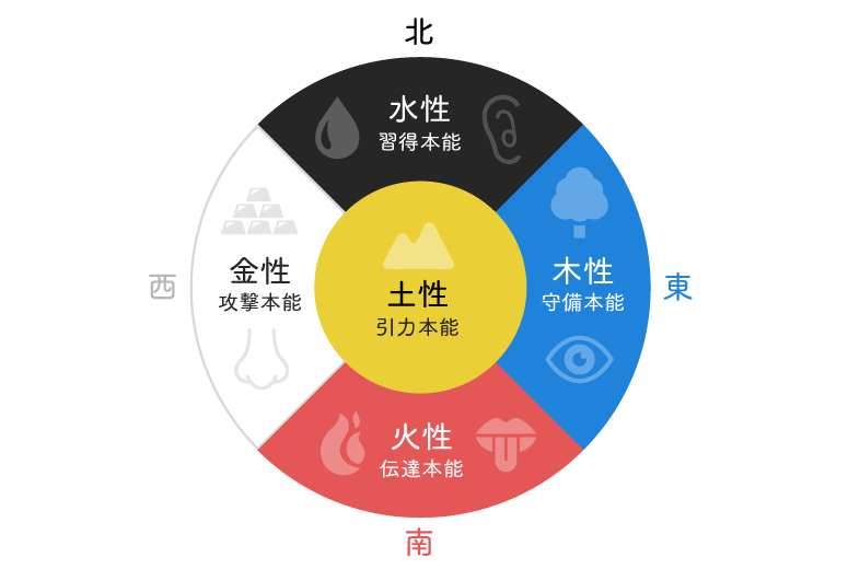 算命学Stock | 算命学を学びたい方必見！算命学の知識が