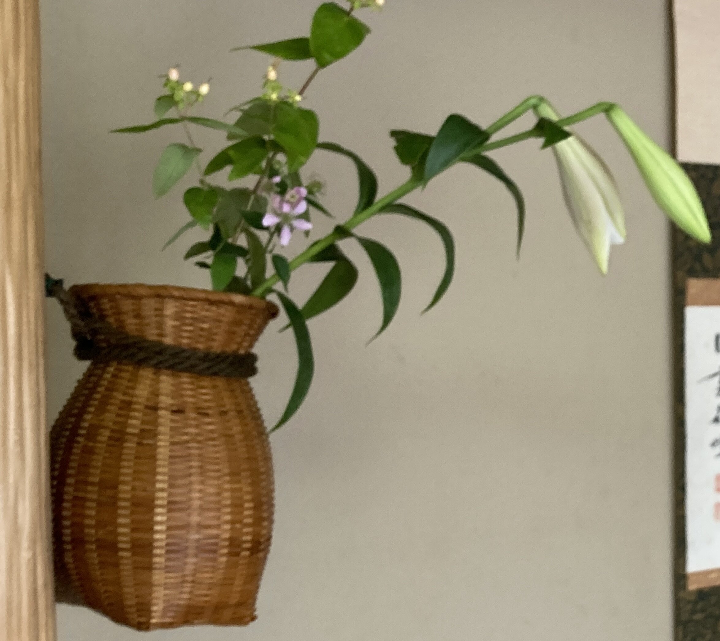 茶道具 茶道具 白竹 三友篭 三友籠 花入 （1） 花瓶 茶道 注)水漏れは