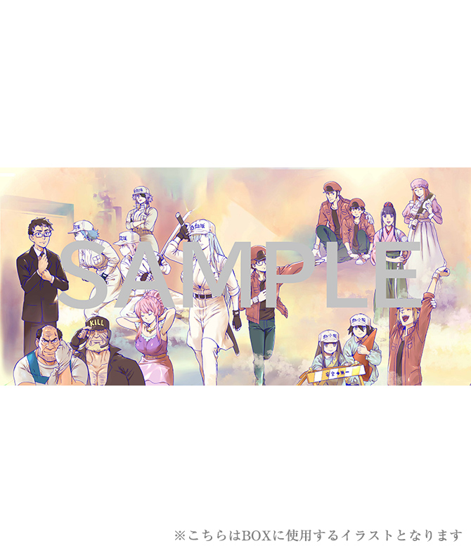 Blu-ray&DVD | TVアニメ「はたらく細胞BLACK」 公式サイト