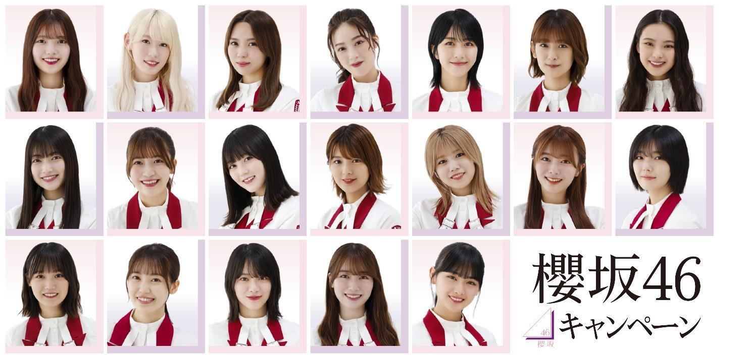 欅坂46 櫻坂46 ローソン オリジナル ブロマイド 生写真 17種 管1004 欅