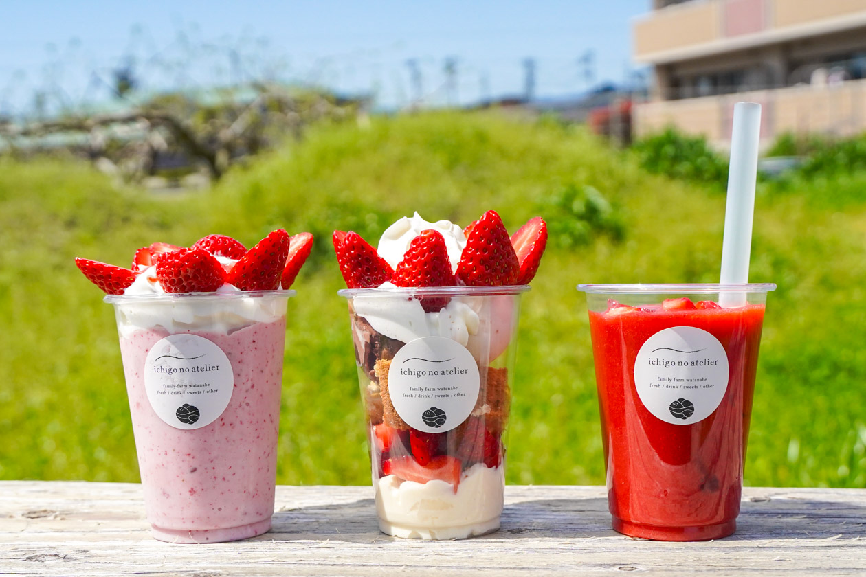 本巣市】ichigo no atelier（イチゴのアトリエ） – 岐阜のローカル