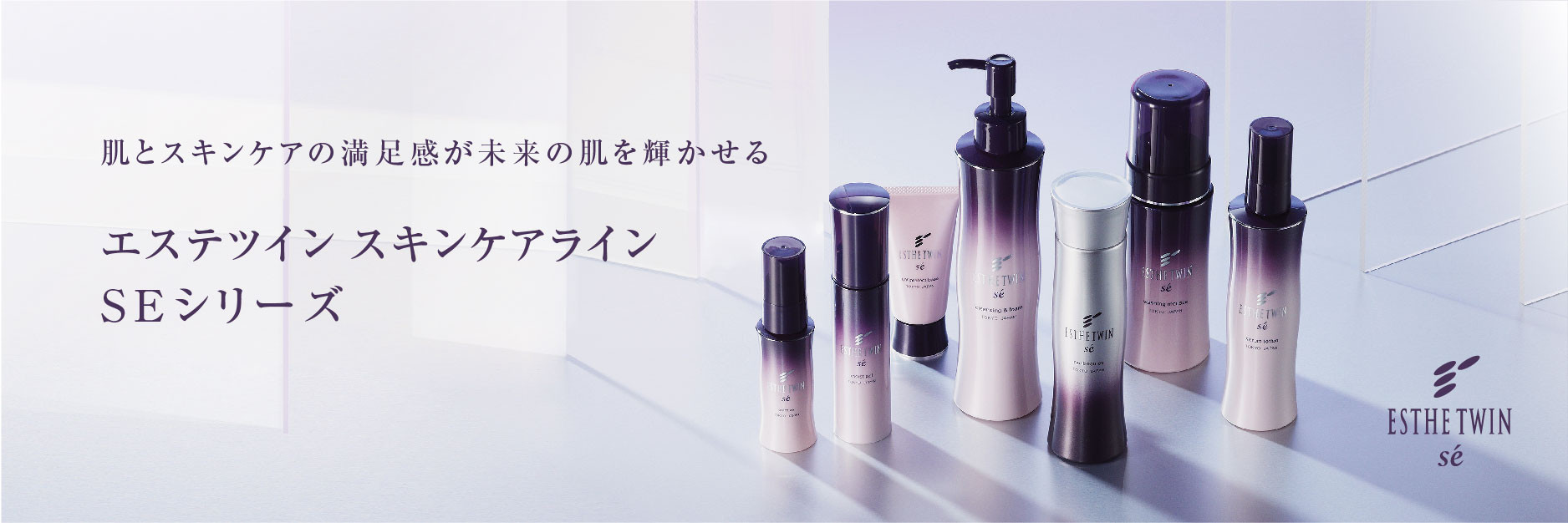 y様専用】エステツイン SE ESTHE TWIN エステツイン セット ESTHE TWIN