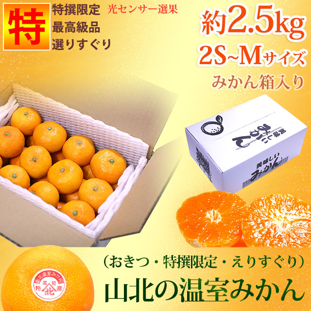 mican様 リクエスト 2点 まとめ商品 【公式通販】