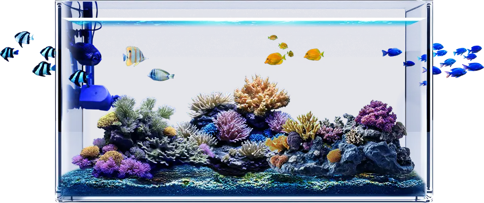 里海珊瑚プロジェクト｜この水槽は、海に社会に、未来につながります。