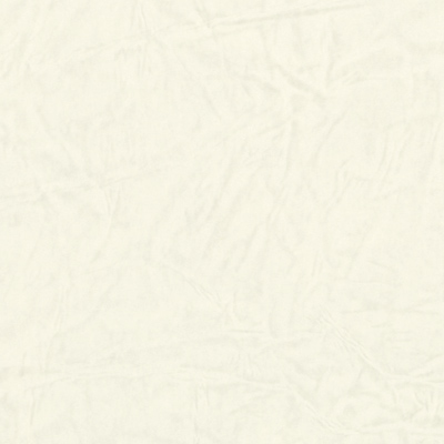 レザック75(白)｜検索結果｜特種東海製紙