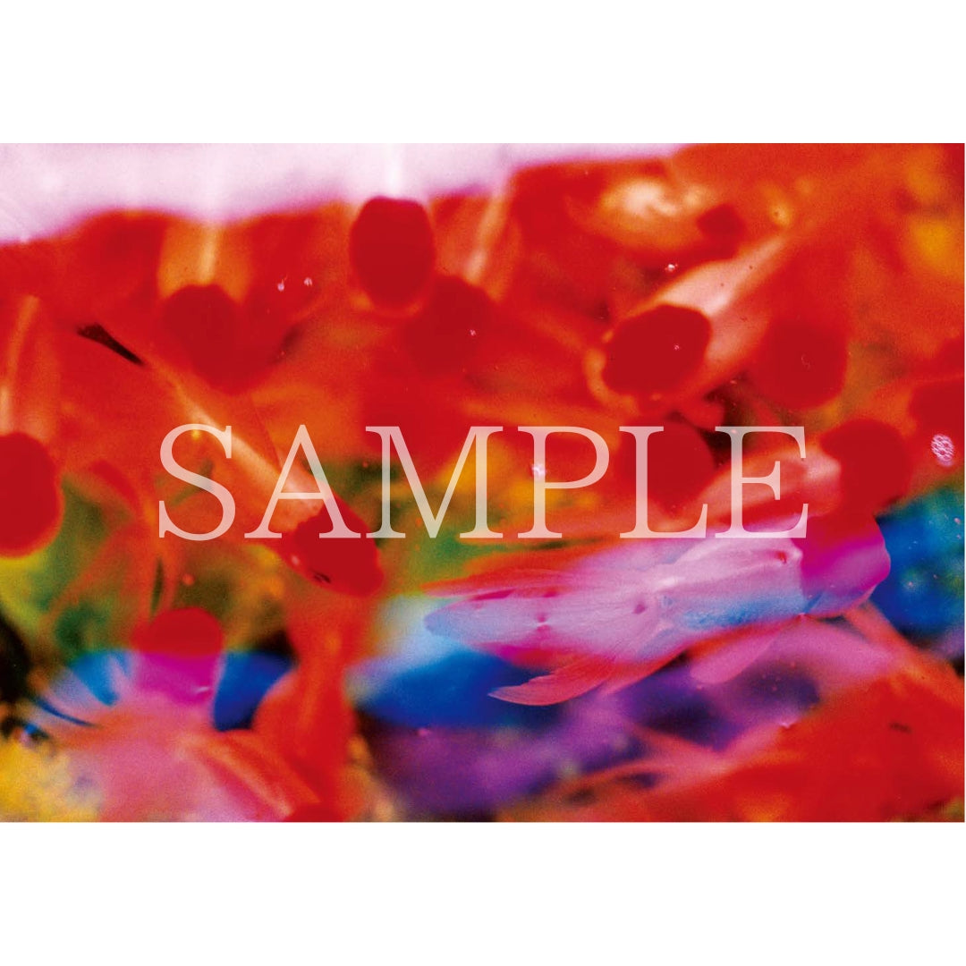 美品 大量セット ダムカード コレクションカード 色々まとめてセット