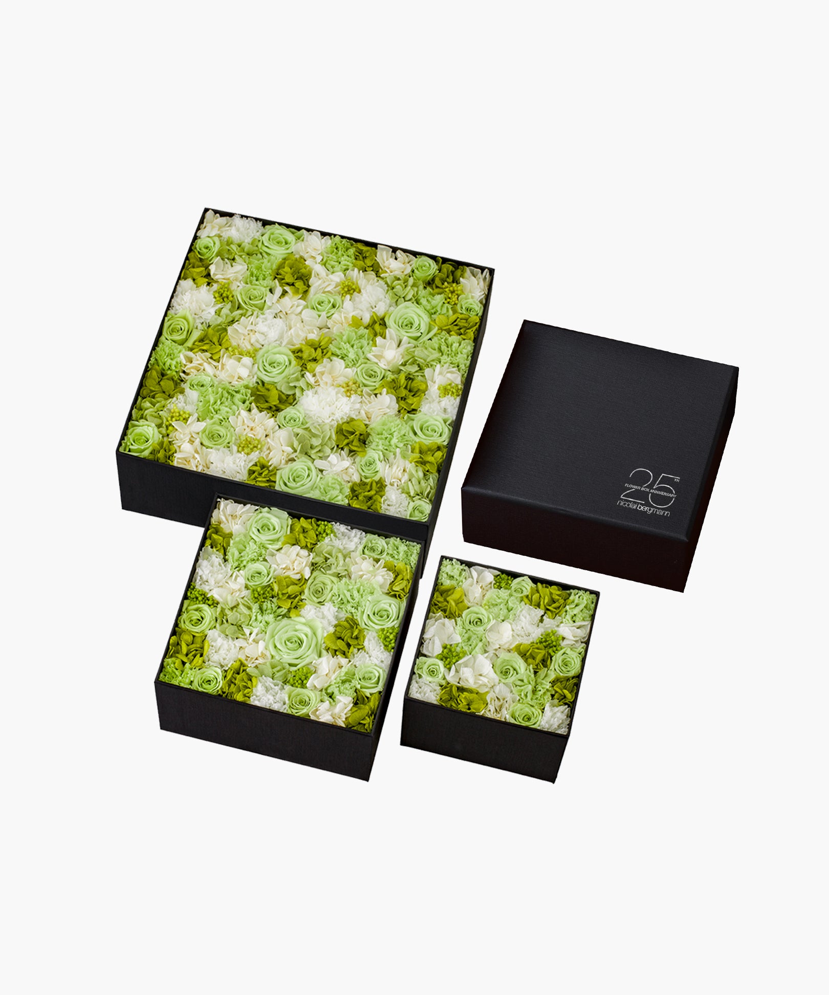 Sky's your Limit（スカイズ ユア リミット）