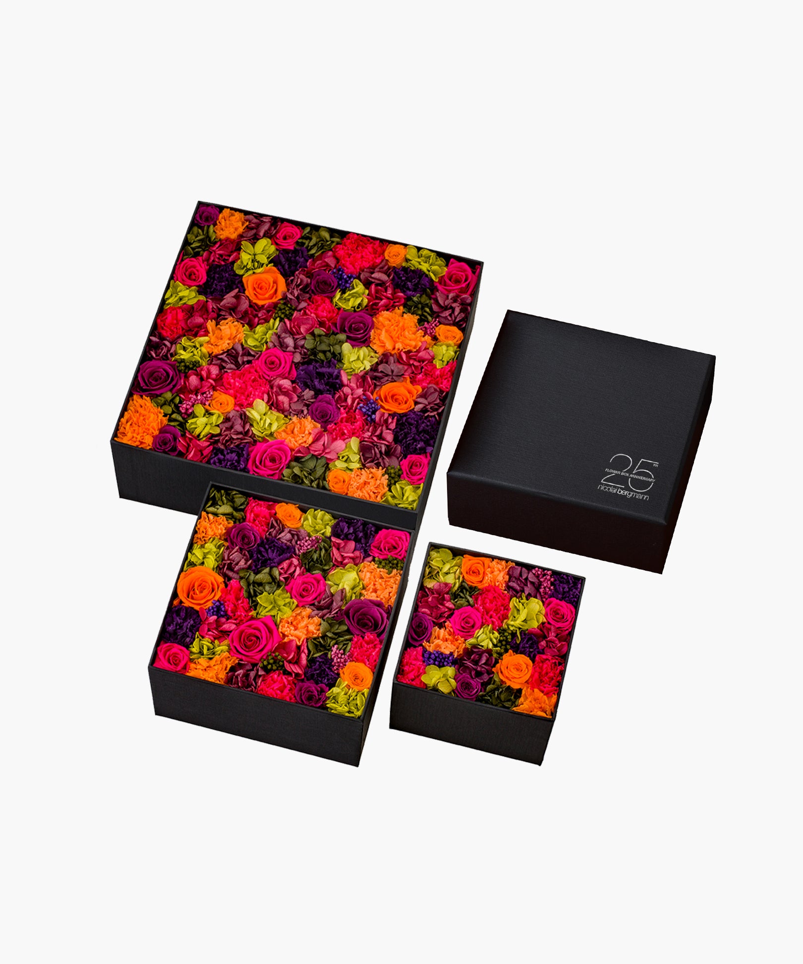 ☆11日24時終了☆ 組み立て式 Maletin Ligero 吉野杉② ☆11日24時終了