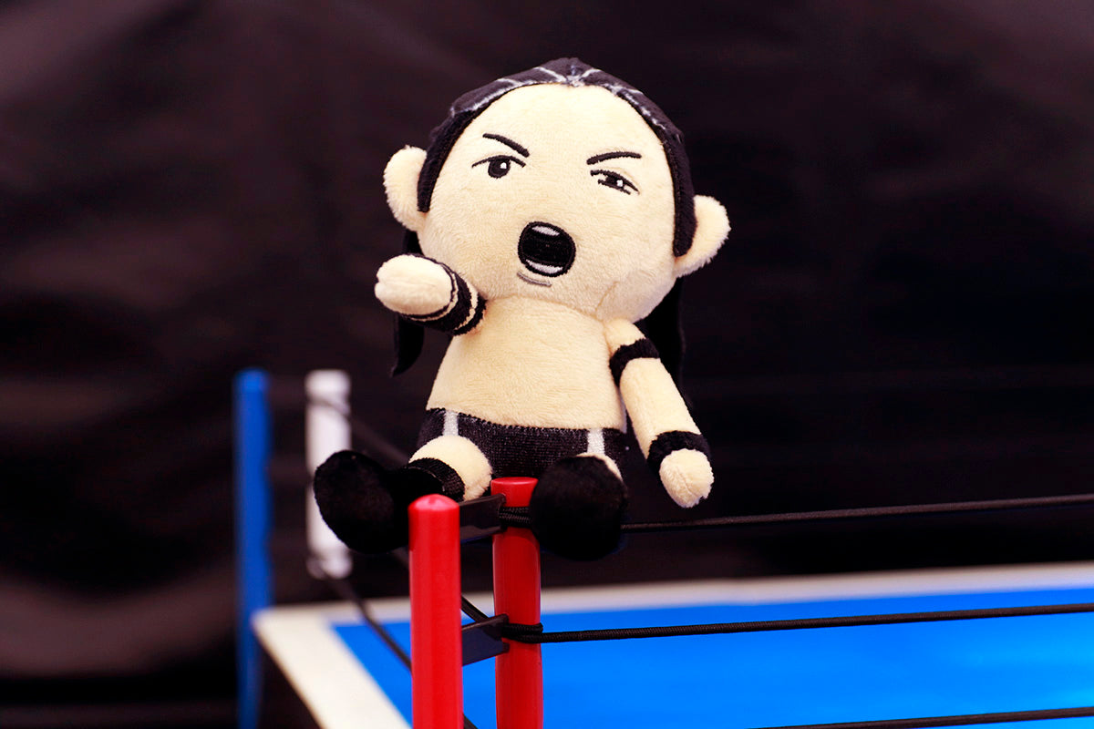 ぴょんすけ KONOSUKE TAKESHITA