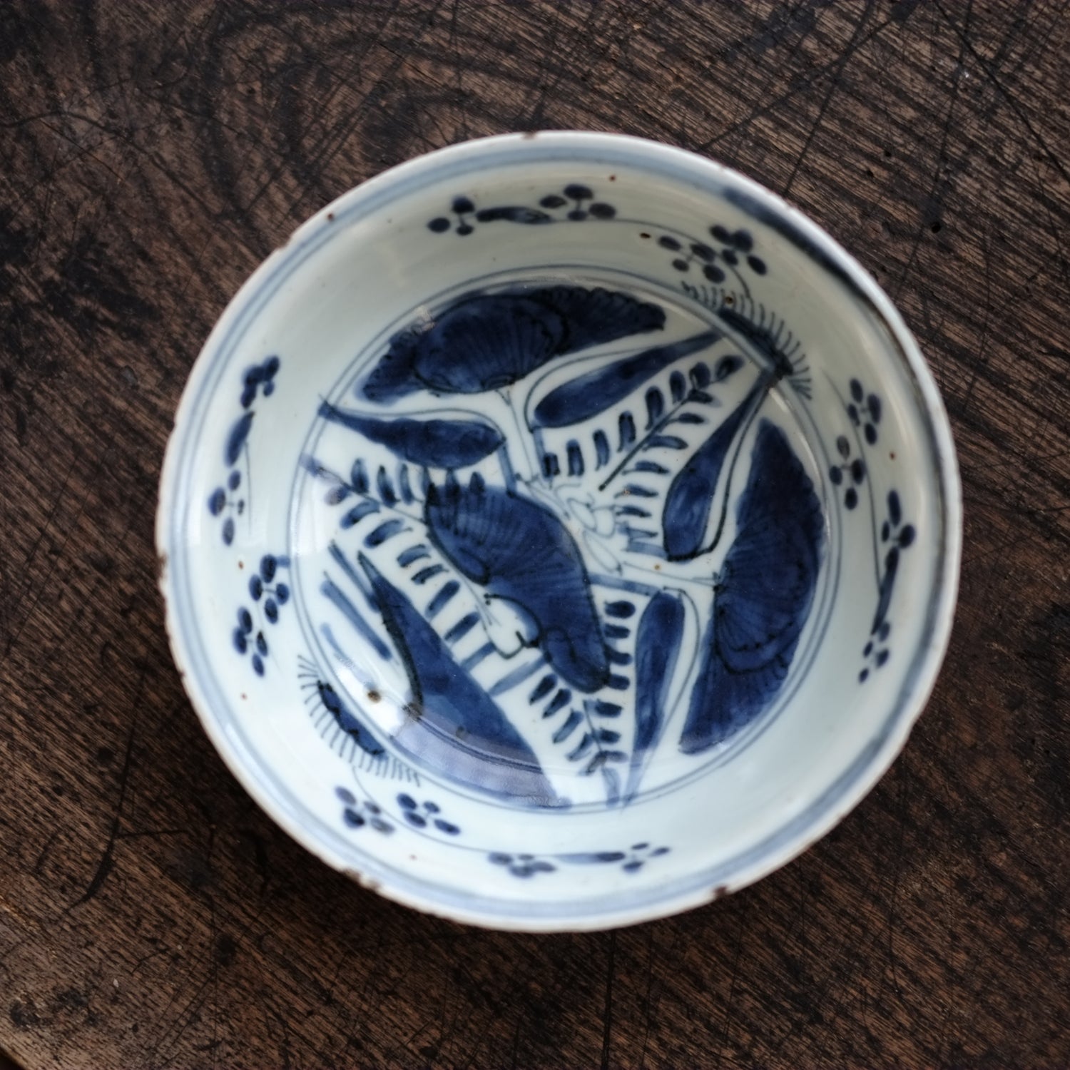 古染付 蓮子文 五寸 青花深皿(明末清初) – 逢季荘