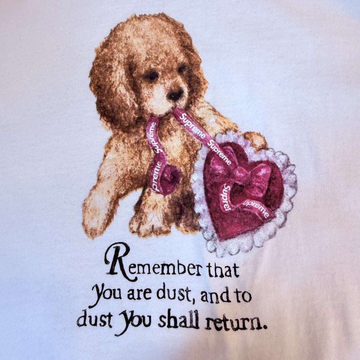 Supreme(シュプリーム) 25AW/Dust TEE／ダストTシャツ ホワイト サイズ