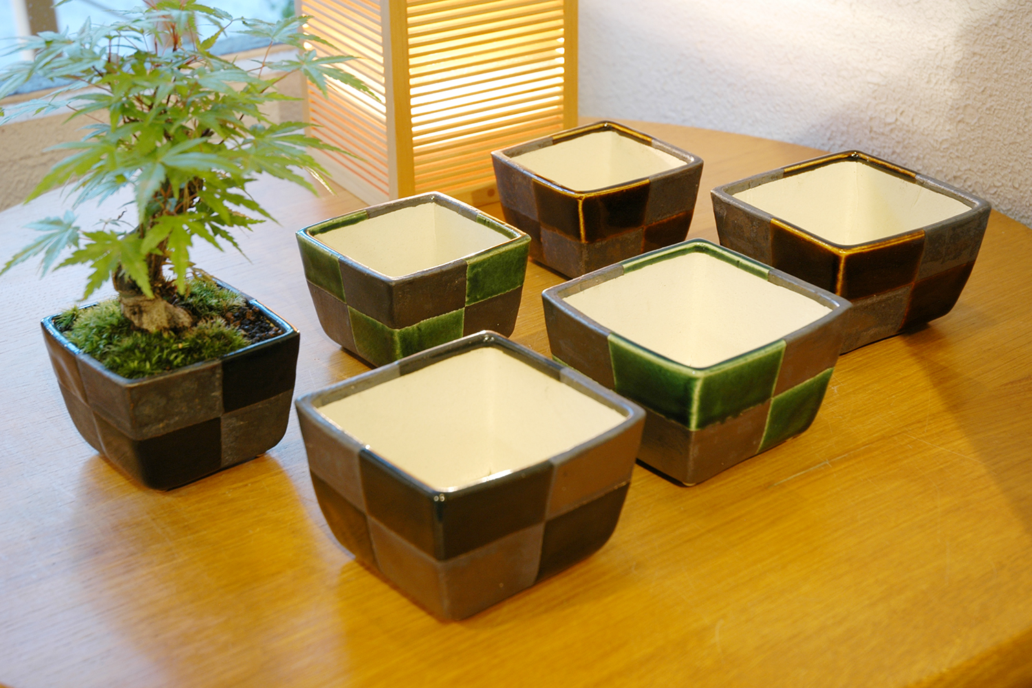 四角市松鉢（作家：久田 貴久） | GreenScapeオンラインストア