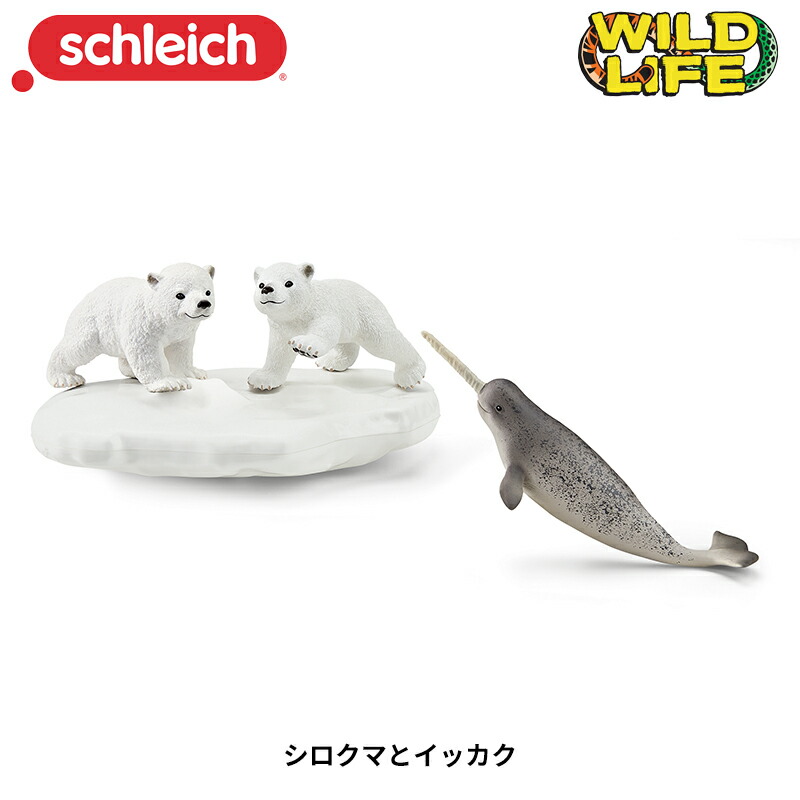 あ‼️ archi-photo01-1.jpg.webp