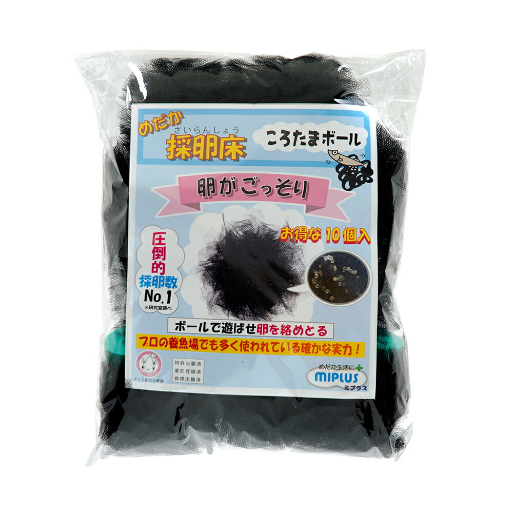 楽天市場】ミプラス 水槽分割容器 わけぷか 黒色 ×5個 : charm 楽天市場店