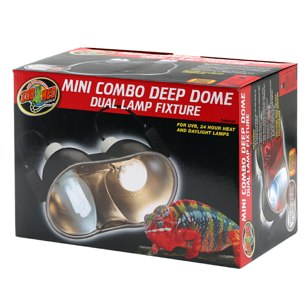 楽天市場】GEX エキゾテラ モンスーンソロ ミスティング カメレオン