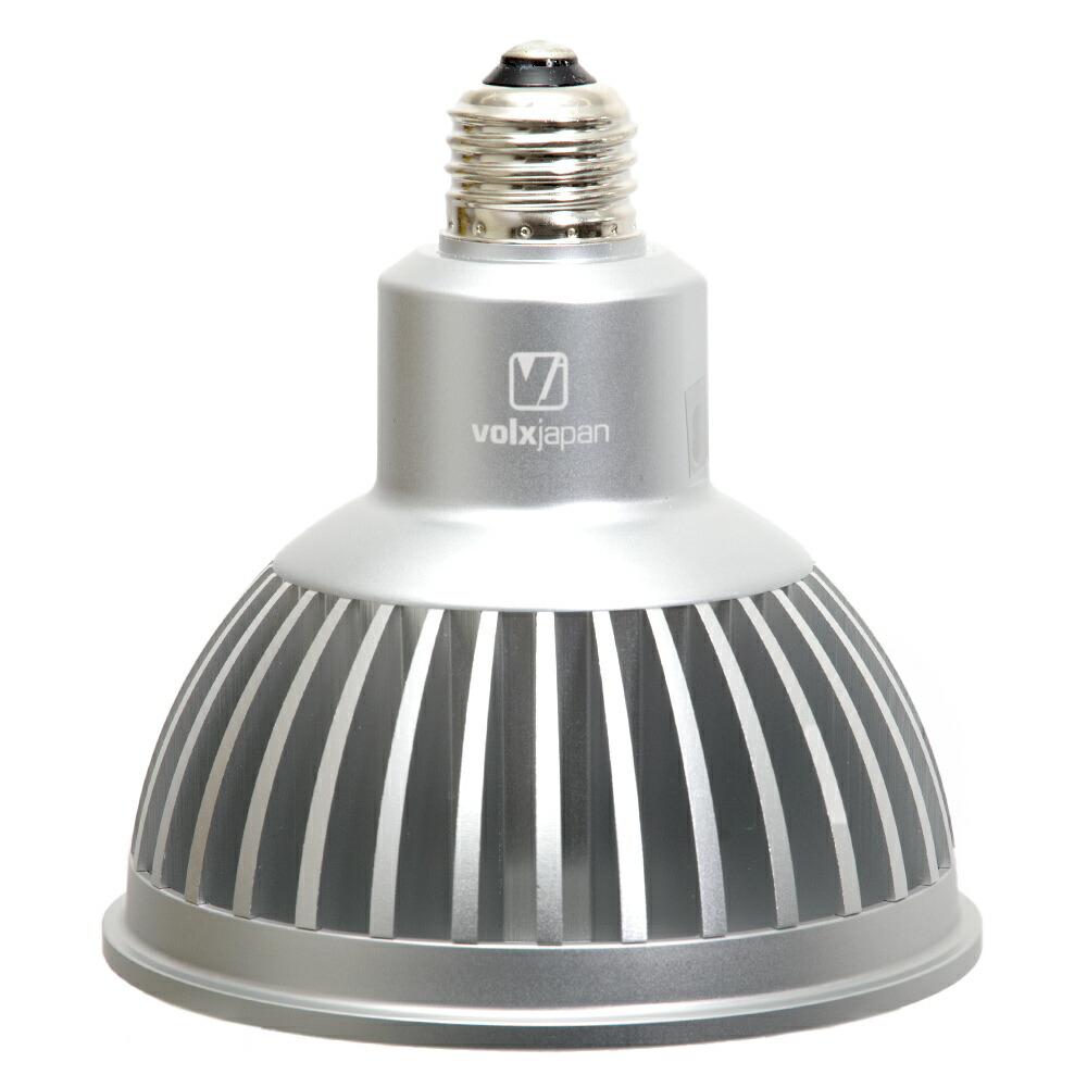 楽天市場】ボルクスジャパン Grassy LeDio RX122s